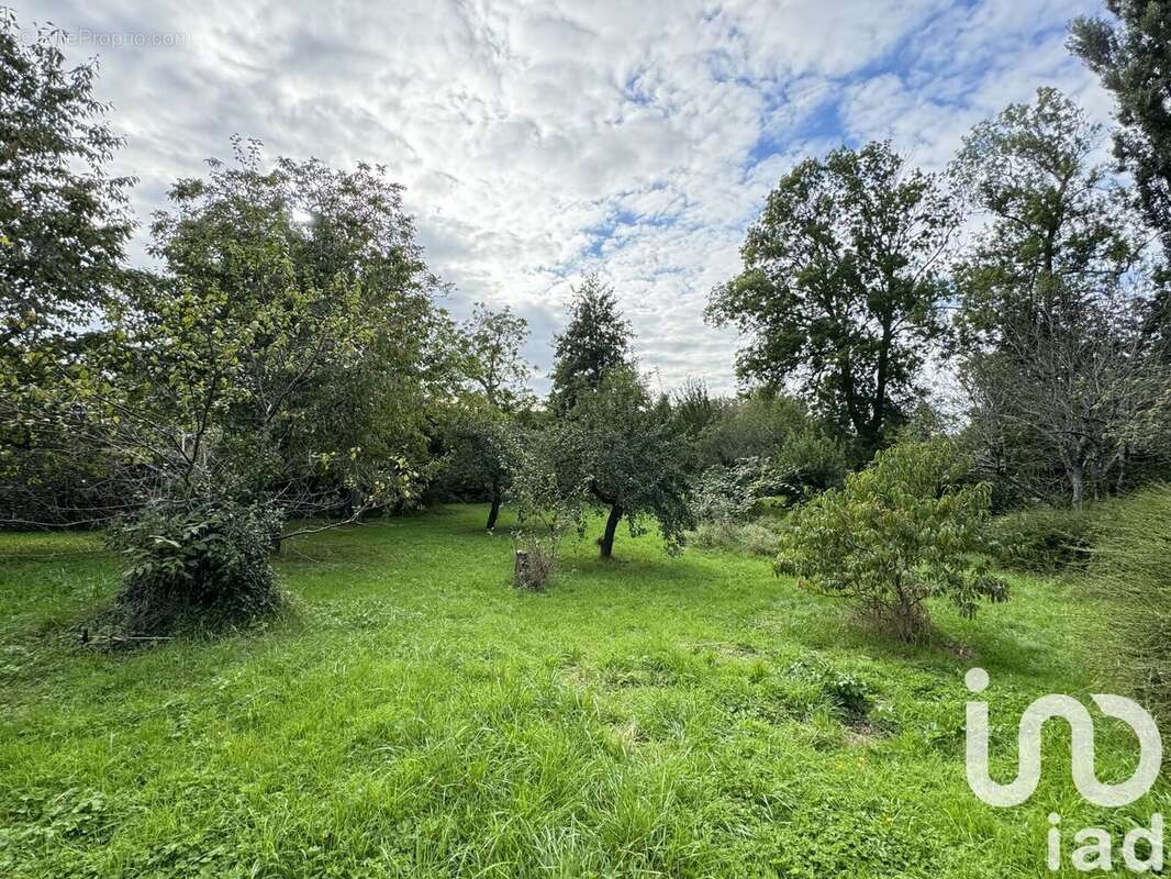 Appartement 25 m² à Mormant  - photo 6