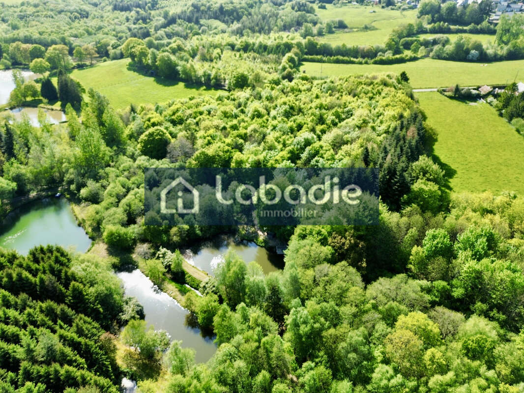 Domaine forestier - Terrain de Loisirs - photo 4