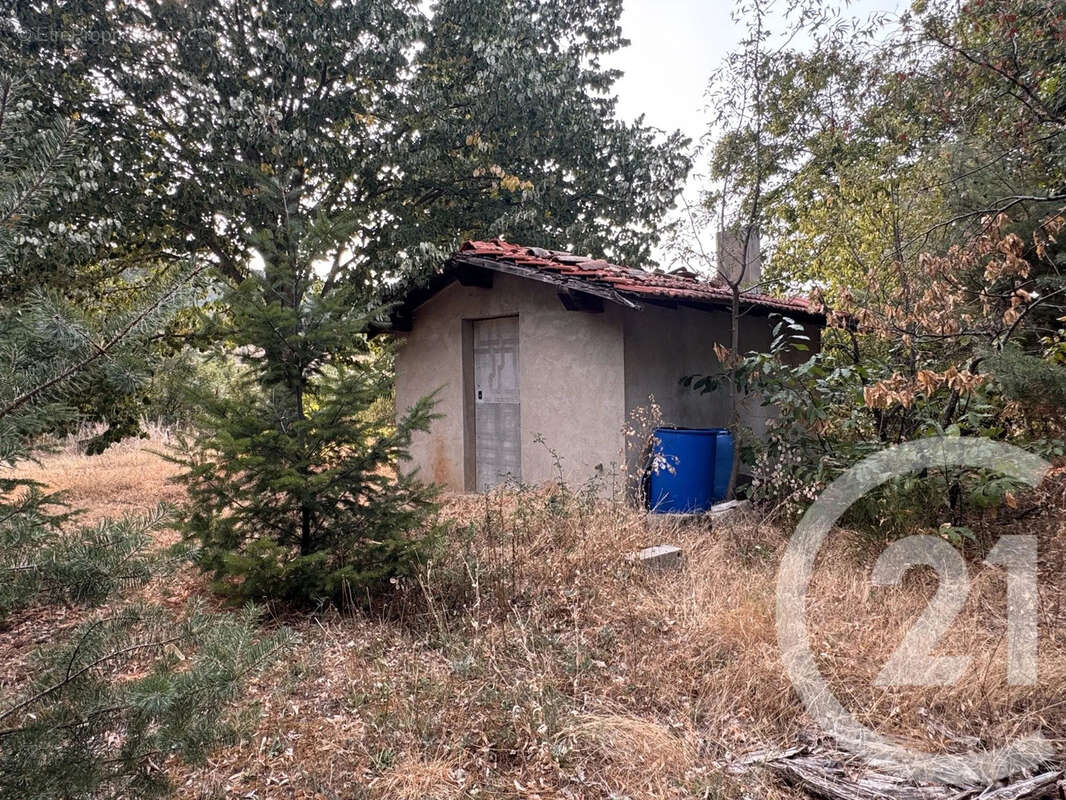 Terrain 2999 m² à Saint-Alban-D'ay  - photo 6