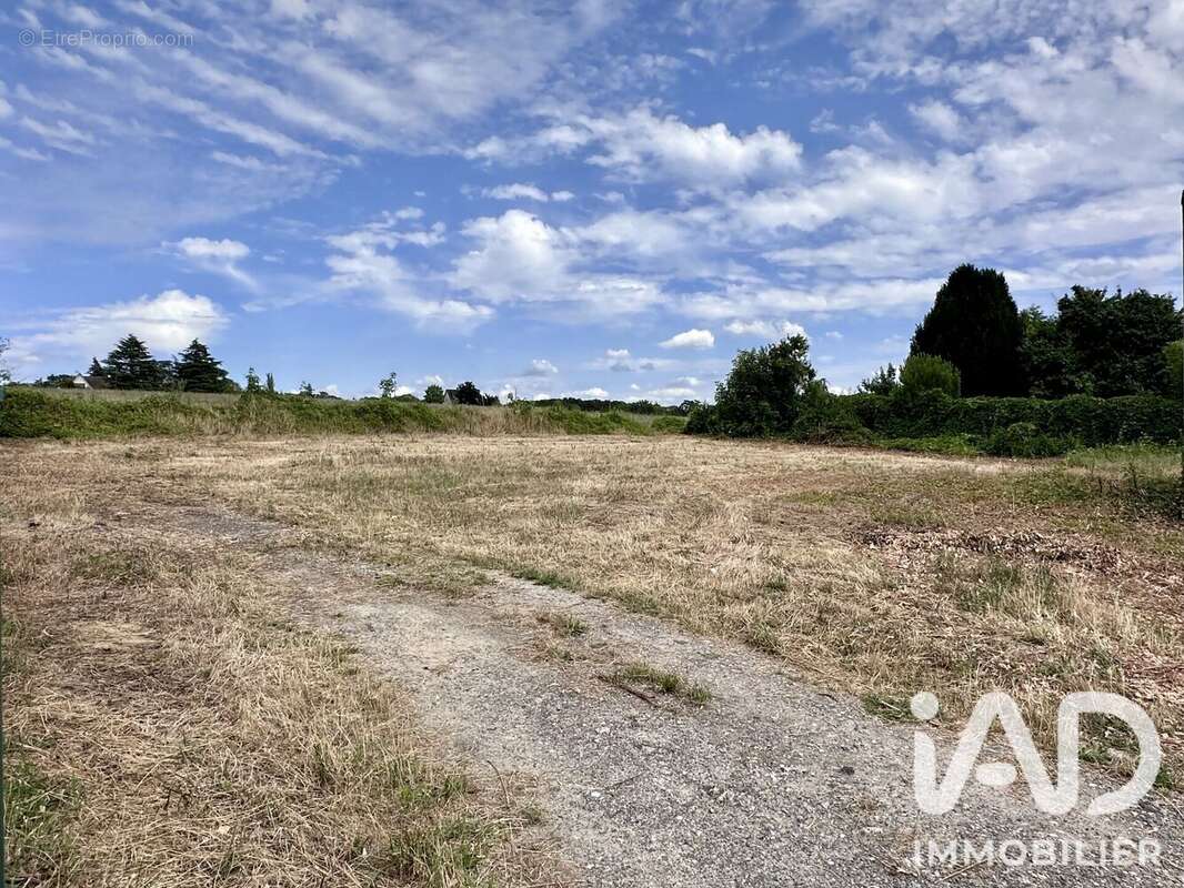 Photo 3 - Terrain à NEUVILLE-SUR-OISE