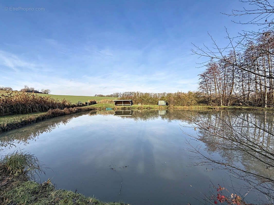 Terrain à MIRECOURT