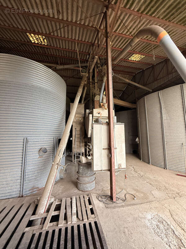 hangar agricole et stockage de 1000 tonnes - photo 4