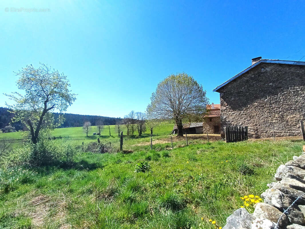Maison à LA CHAISE-DIEU