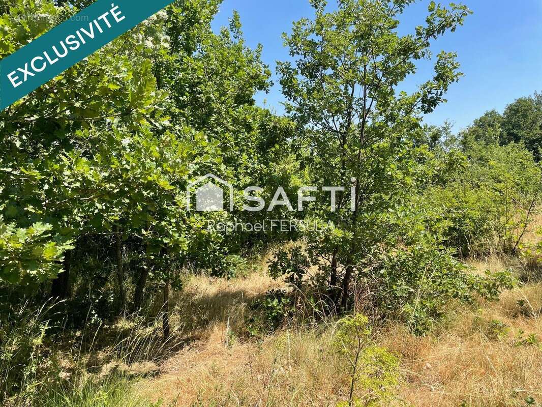 Photo 4 - Terrain à CASTRES