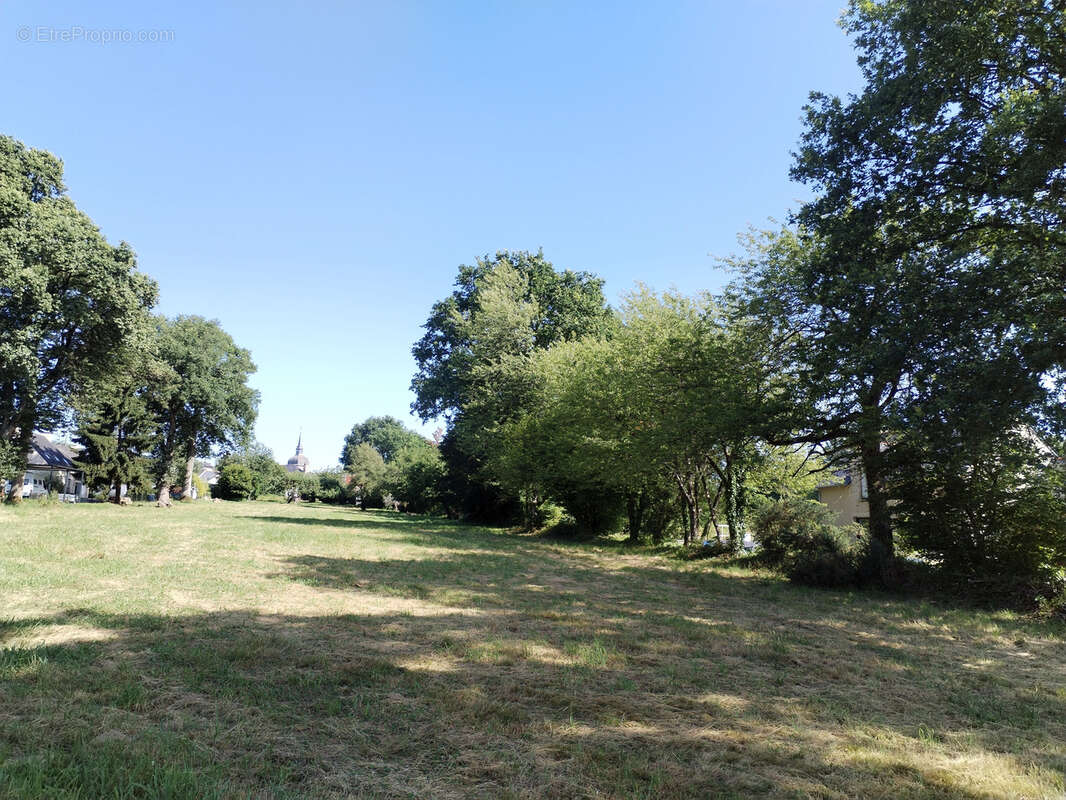 Terrain à LIVRE-SUR-CHANGEON