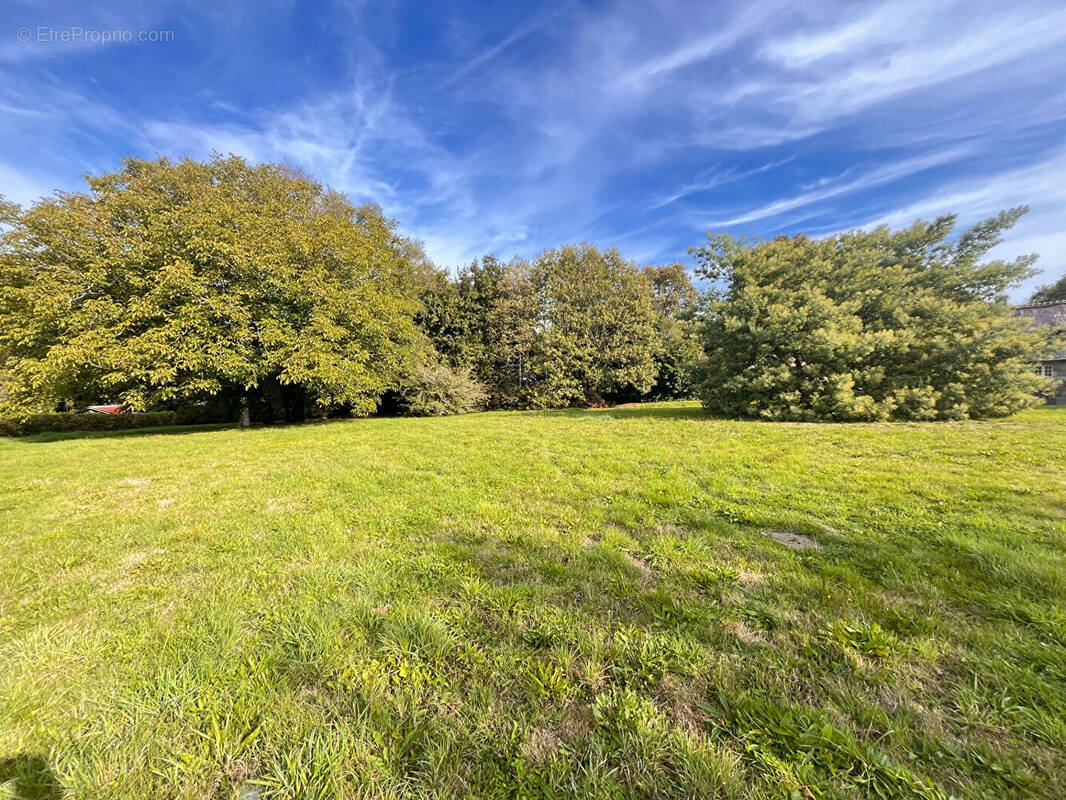 Terrain à RIEC-SUR-BELON