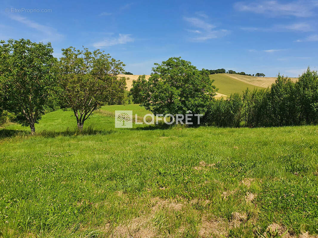 Terrain à VILLEMUR-SUR-TARN