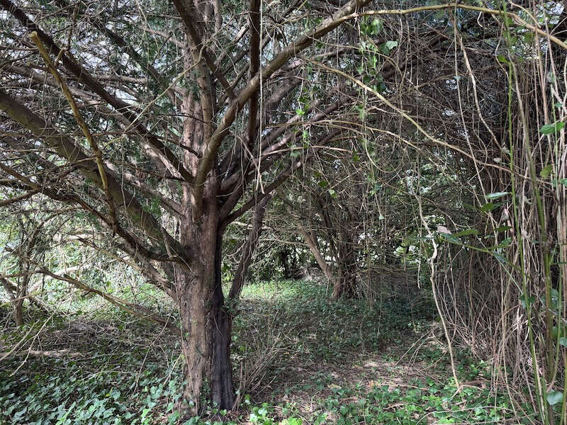 Parking à MONTGUYON
