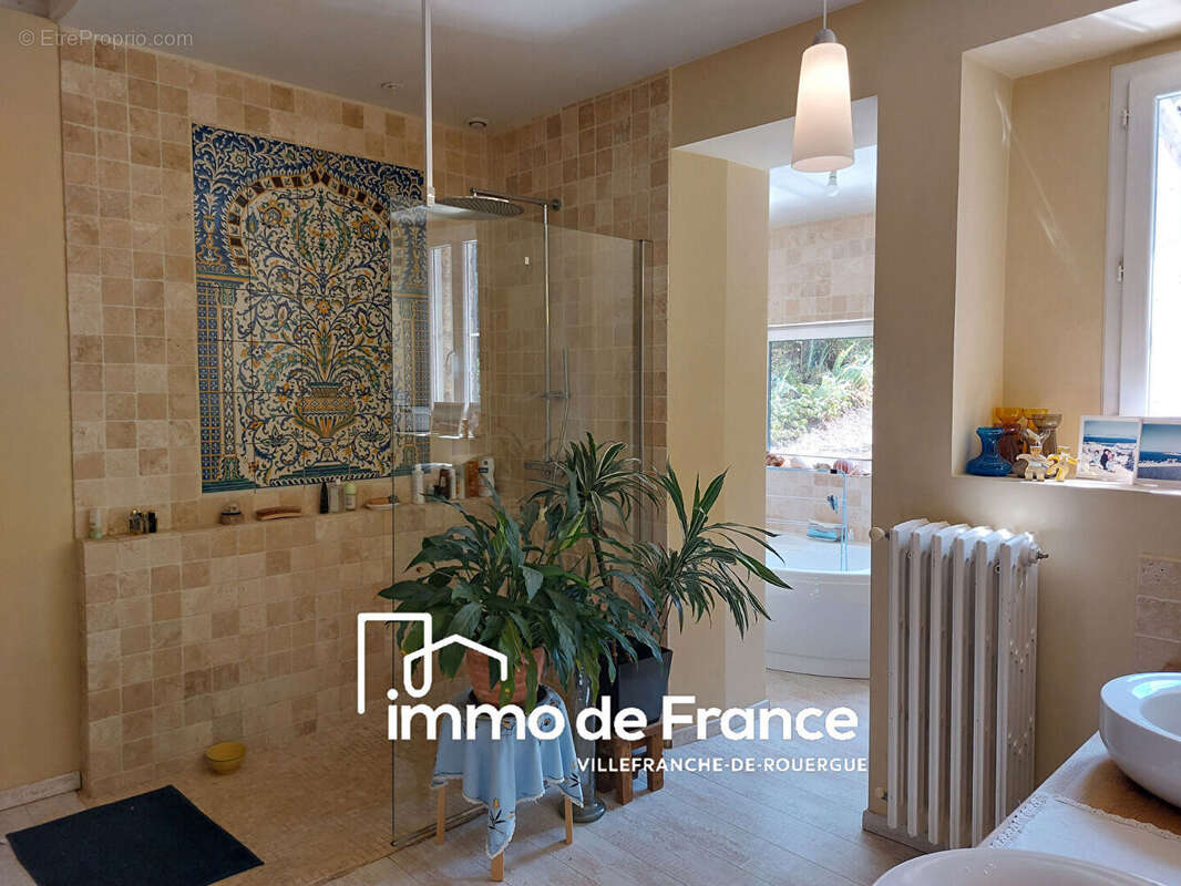 Ensemble immobilier : maison de caractère 180m² et annexe 80m² sur 9974m² - photo 12