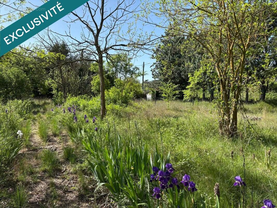 Photo 1 - Terrain à MONTMEYAN