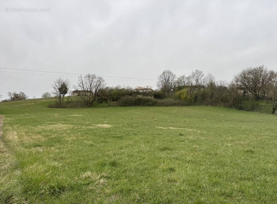 Terrain à AURIAC-SUR-VENDINELLE