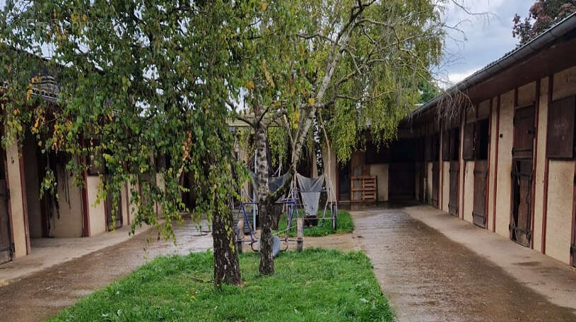 Maison à SAINT-JEAN-D'ANGELY
