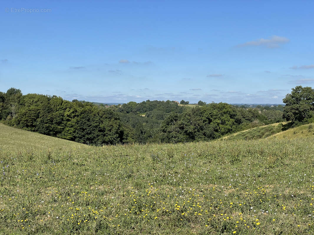 Demeure de caractère en pierres au cœur de la Gascogne - photo 27