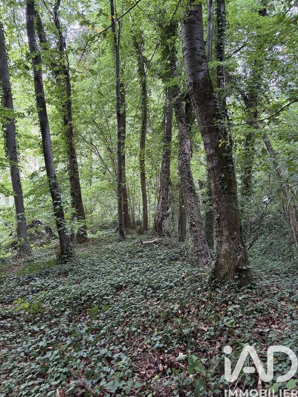 Photo 8 - Terrain à DOULLENS