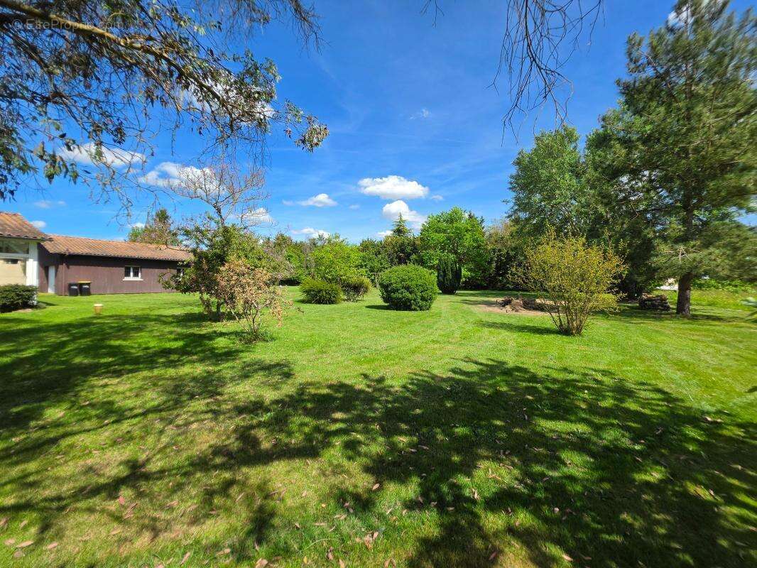 Maison à CASTETS-EN-DORTHE