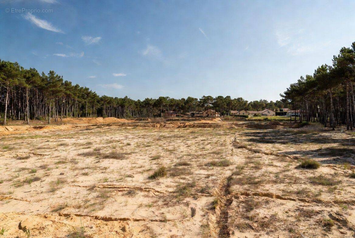 Terrain à VAYRES