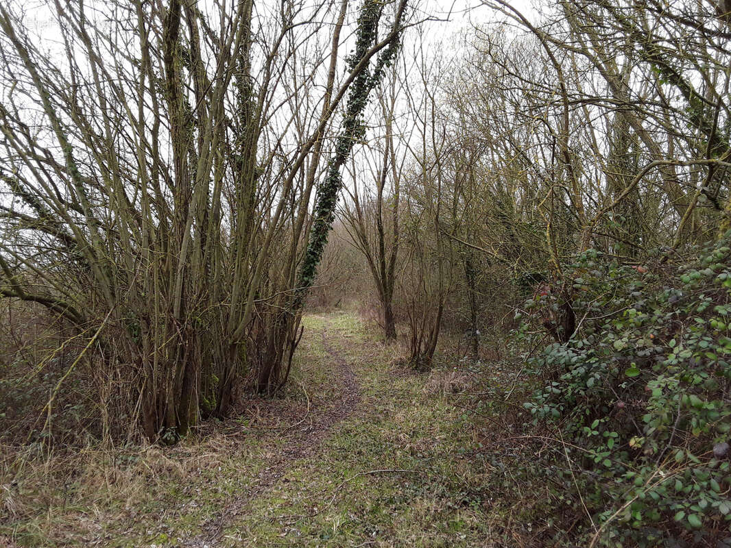 Terrain à SAINT-QUENTIN-EN-TOURMONT