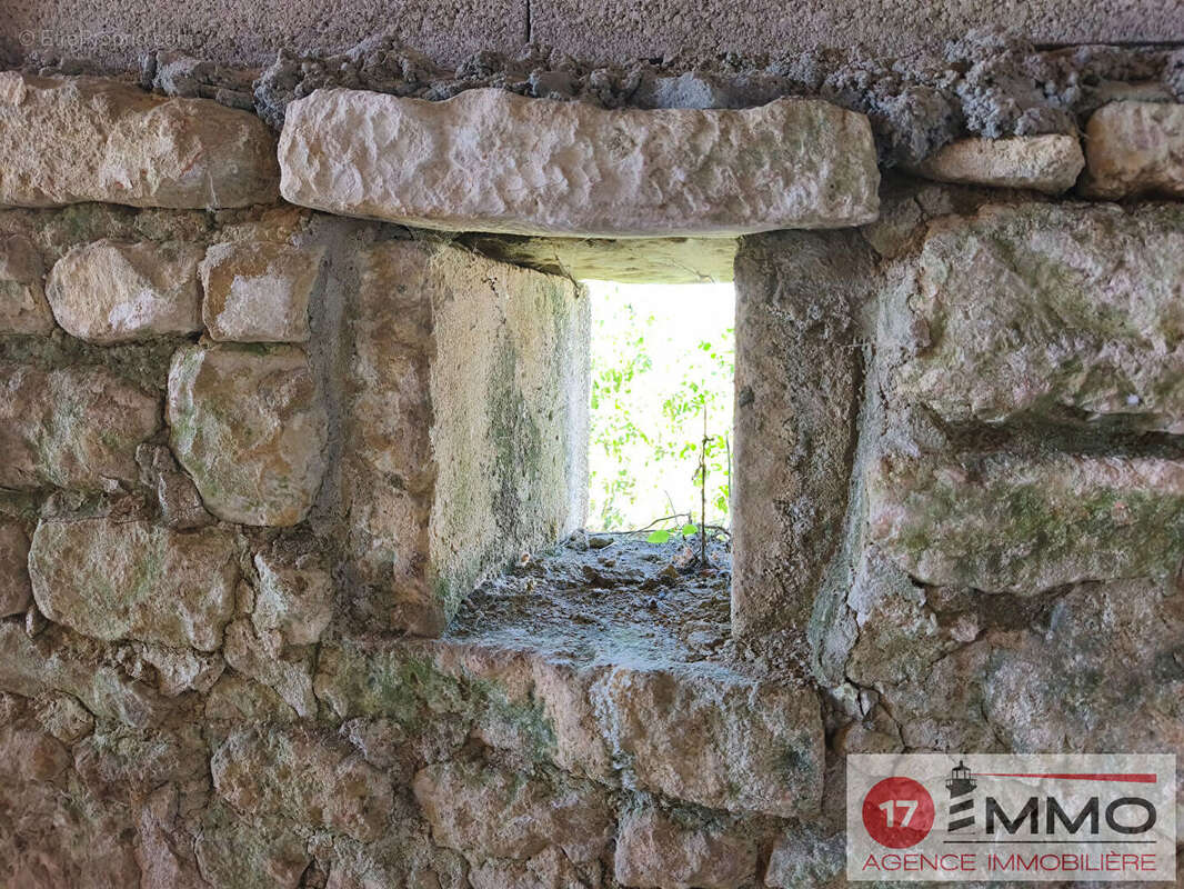 Maison  Atypique Thaire  à Finir de rénover - photo 8