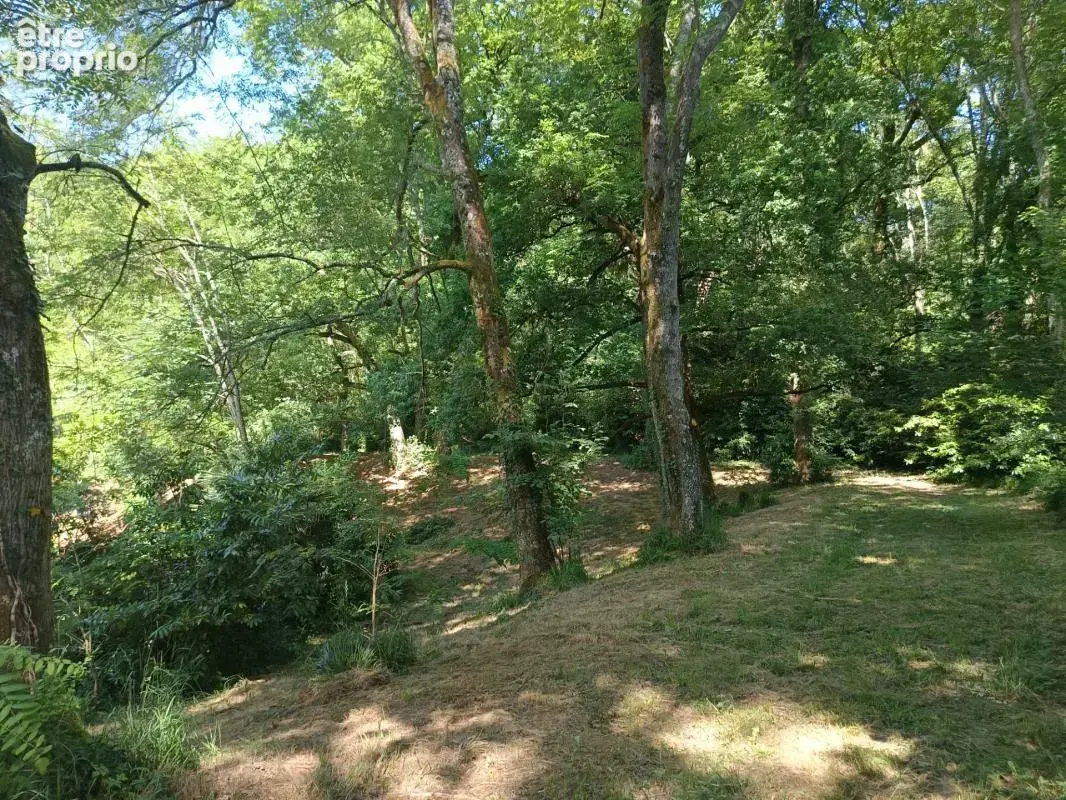 Propriete de charme de 26 pieces sur un terrain de 15000 m² - photo 17