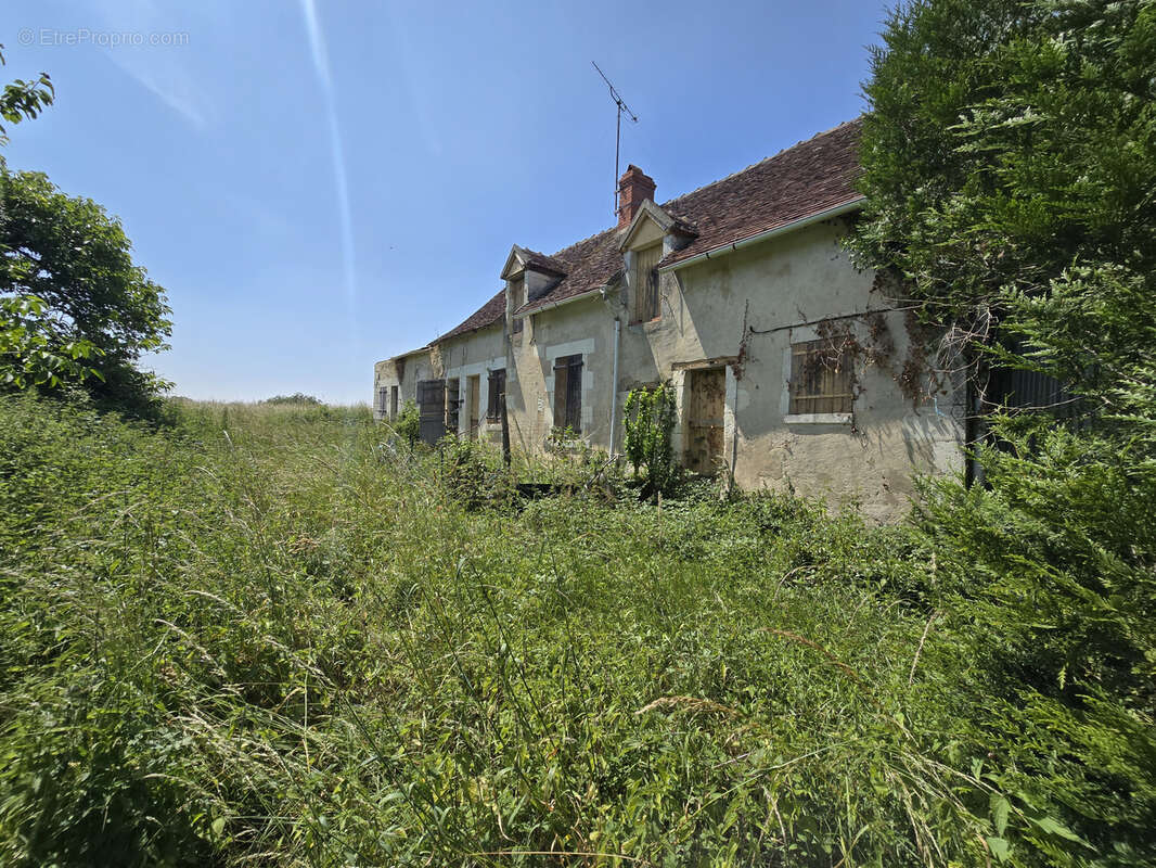 Maison à AZAY-LE-FERRON