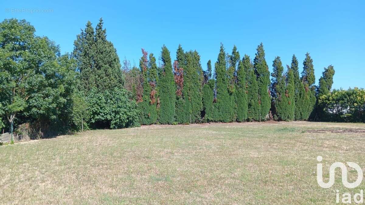 Photo 4 - Terrain à LABASTIDE-D&#039;ANJOU