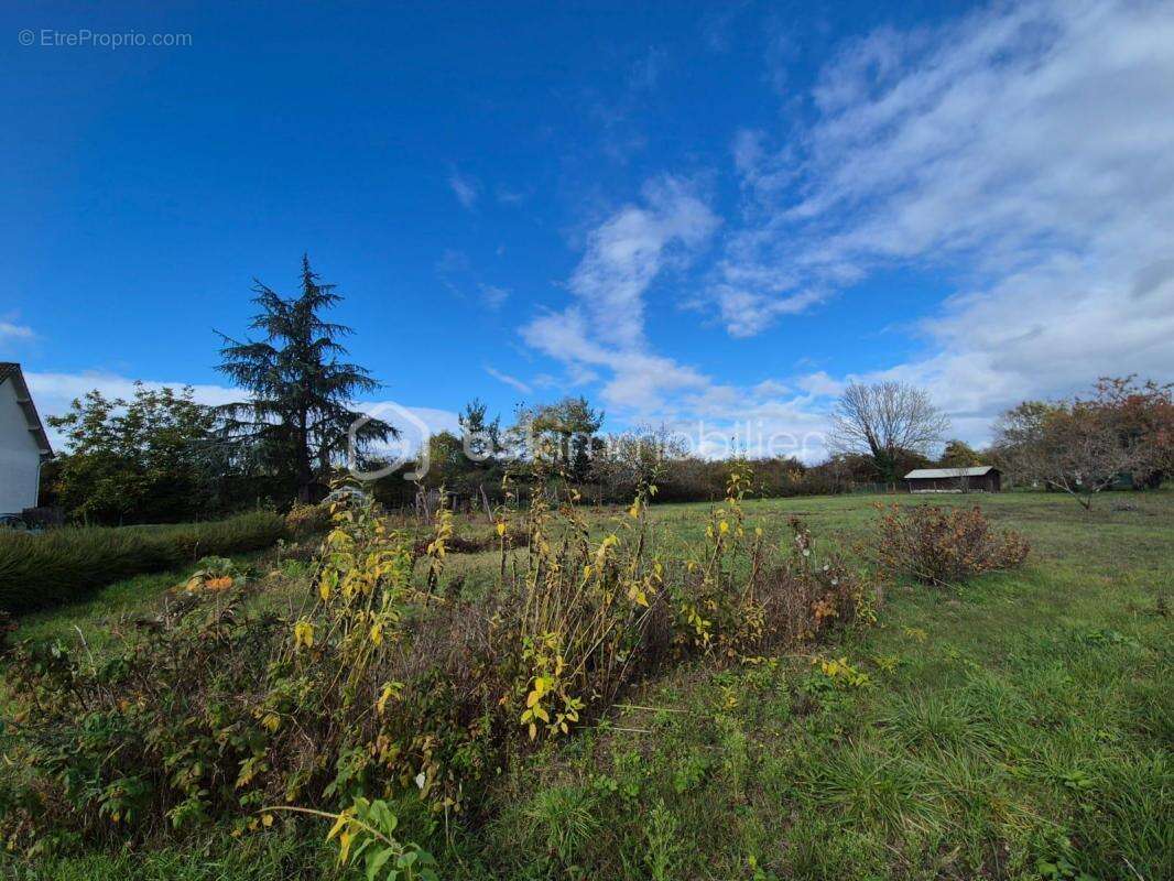 Terrain à FAY-AUX-LOGES