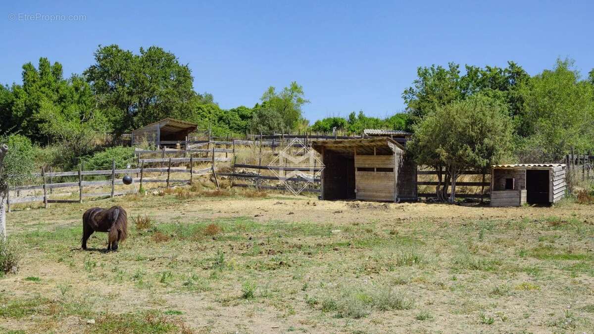 Canton de Fayence – Mas ancien - photo 10