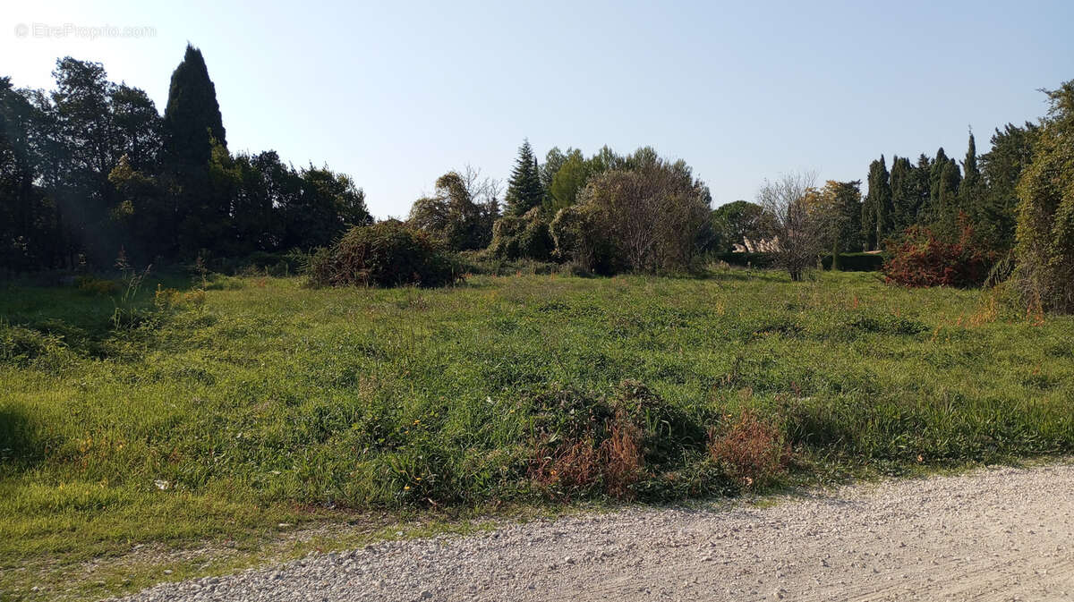 Terrain à CHATEAURENARD