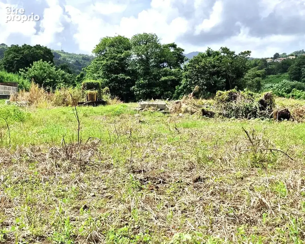 Terrain 930 m² à vendre à Le Lorrain (97214) - photo 3