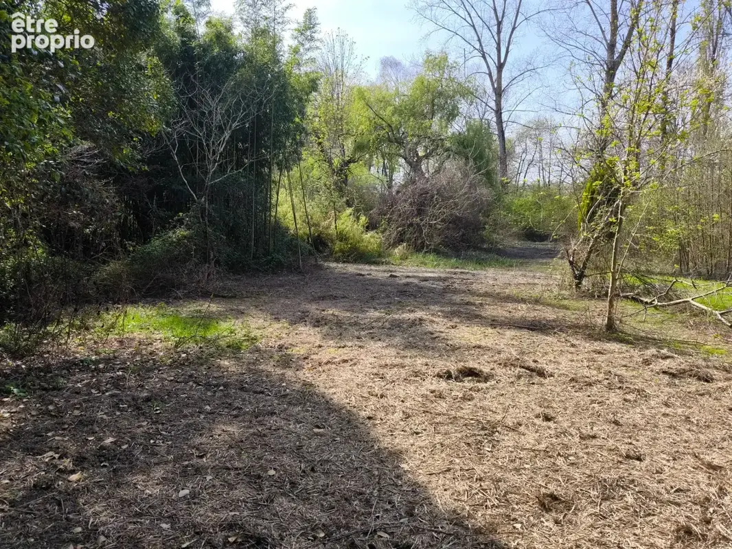 Terrain non constructible bordure Charente à vendre  VARS (16) - photo 10