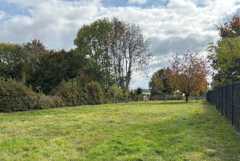 Terrain à HAUTEVILLE