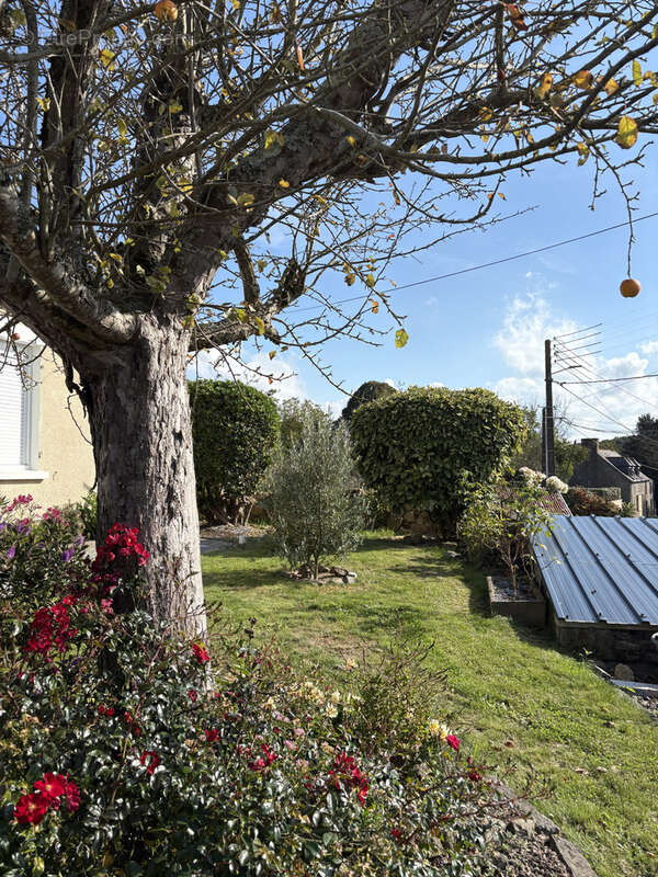 Maison à LE TRONCHET
