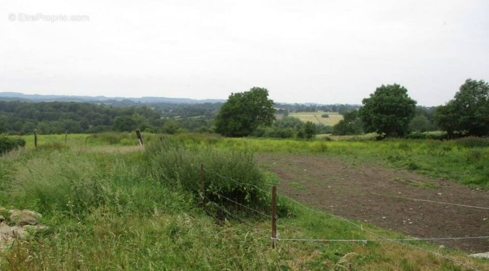 Terrain à MESNIL-MAUGER