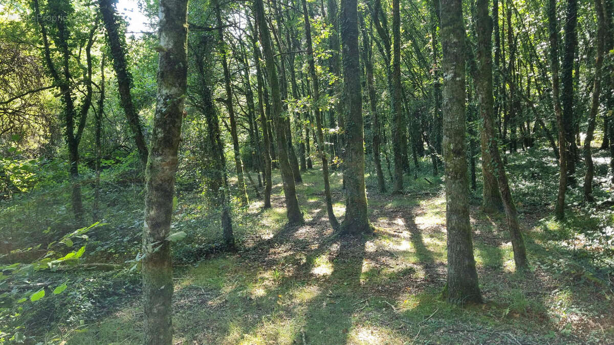 20250919_153328 - Maison à ABJAT-SUR-BANDIAT