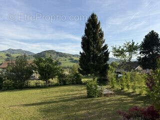 Maison 220 m² à Burdignin  - photo 4