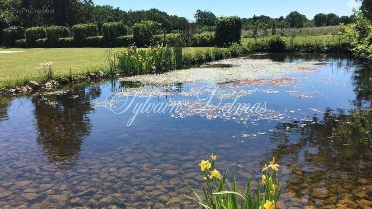 Propriete à vendre 11 pièces LANGEAIS (37) - photo 22
