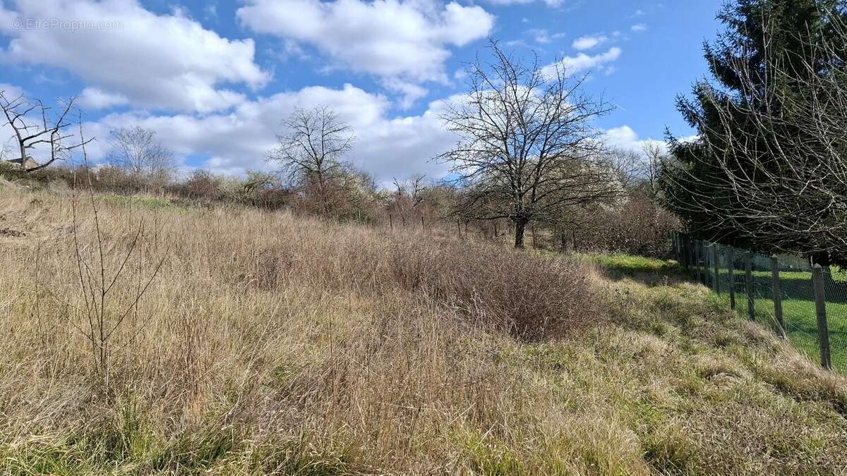 Terrain à LE VERNET