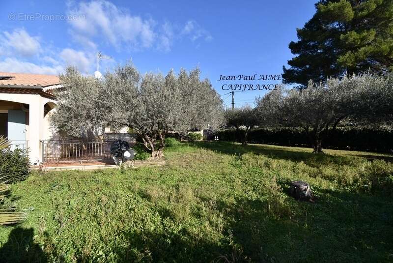 Maison à SAINT-JULIEN-DE-PEYROLAS