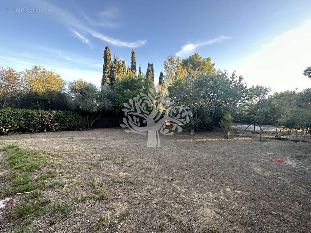 Terrain à SANARY-SUR-MER