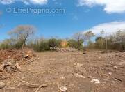 Terrain à SAINT-PIERRE