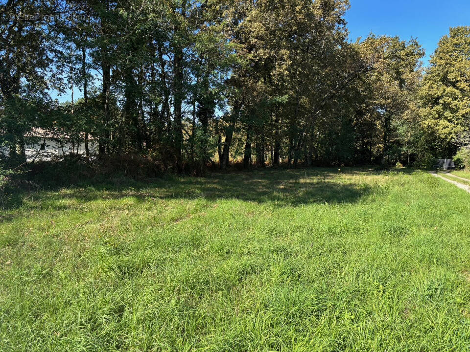 Terrain à SAINT-SAUVEUR