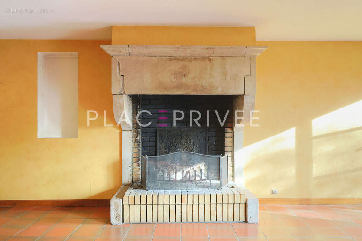 Maison 375 m² à Vincey  - photo 7