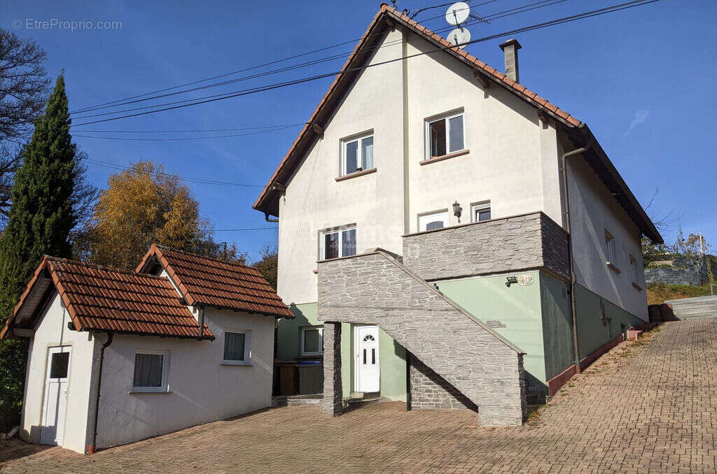 Ensemble Immobilier 8 pièces 180 m² - photo 10