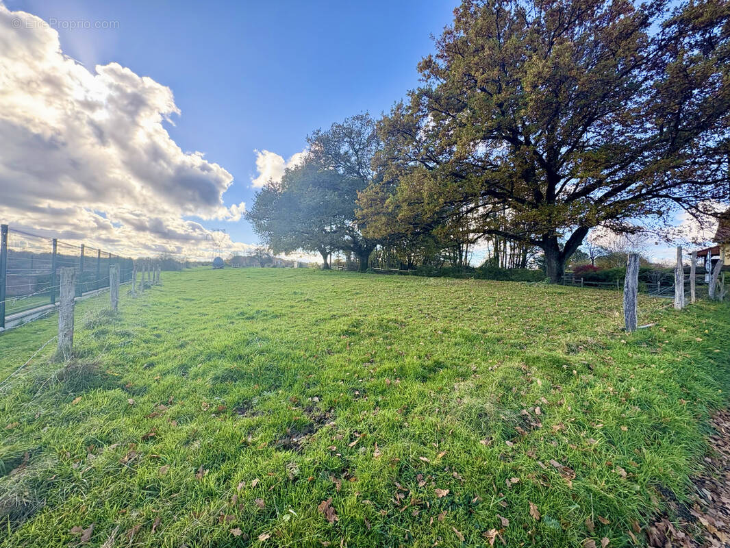 Terrain à UEBERSTRASS