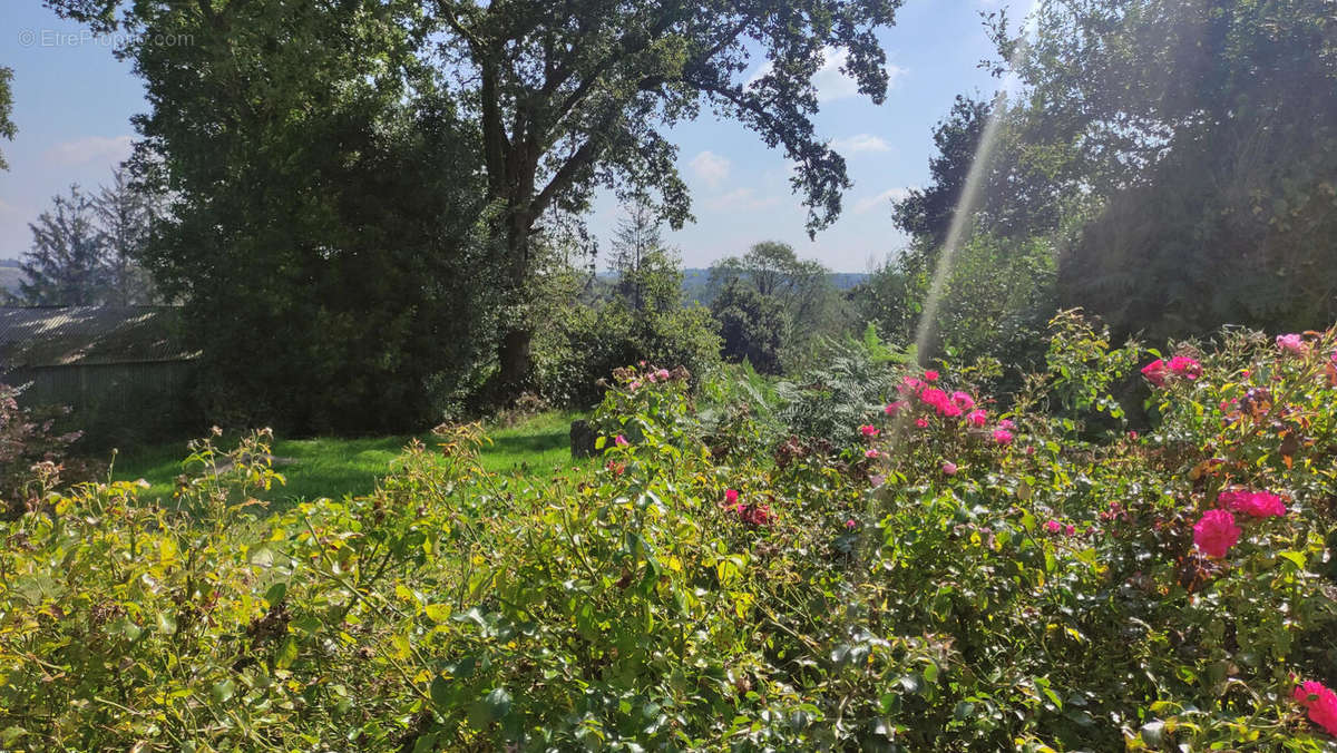 Jardin - Maison à LANGONNET
