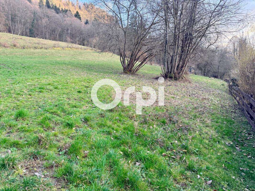 Terrain à LA CHAPELLE-DU-BARD