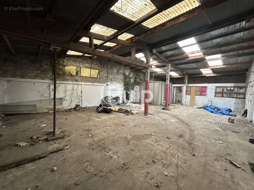 Terrain à MAZINGARBE