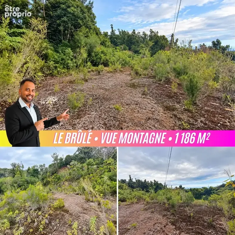 Terrain 1 186 m² à vendre à Saint-Denis (97400) - photo 1