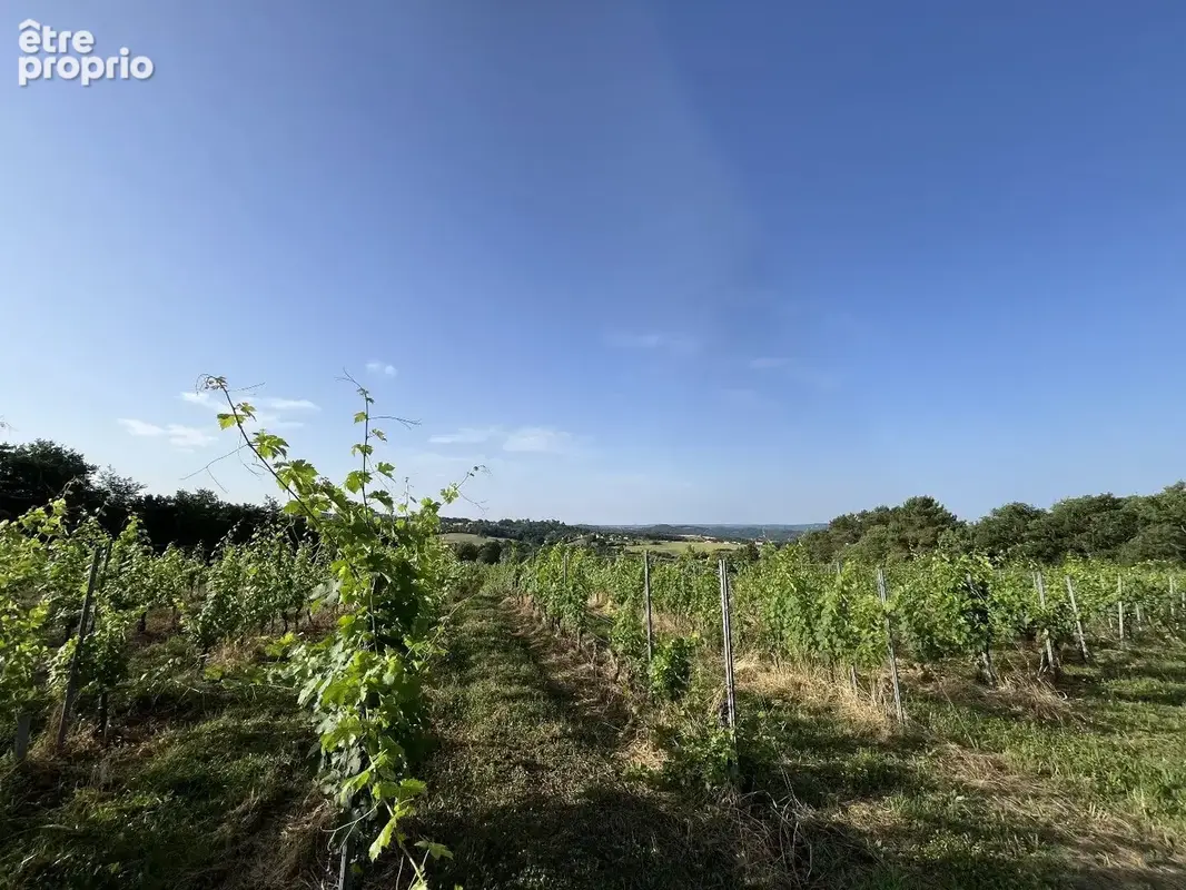 À Vendre : Terrain avec Vignes - Puy-d'Arnac (19) - photo 2