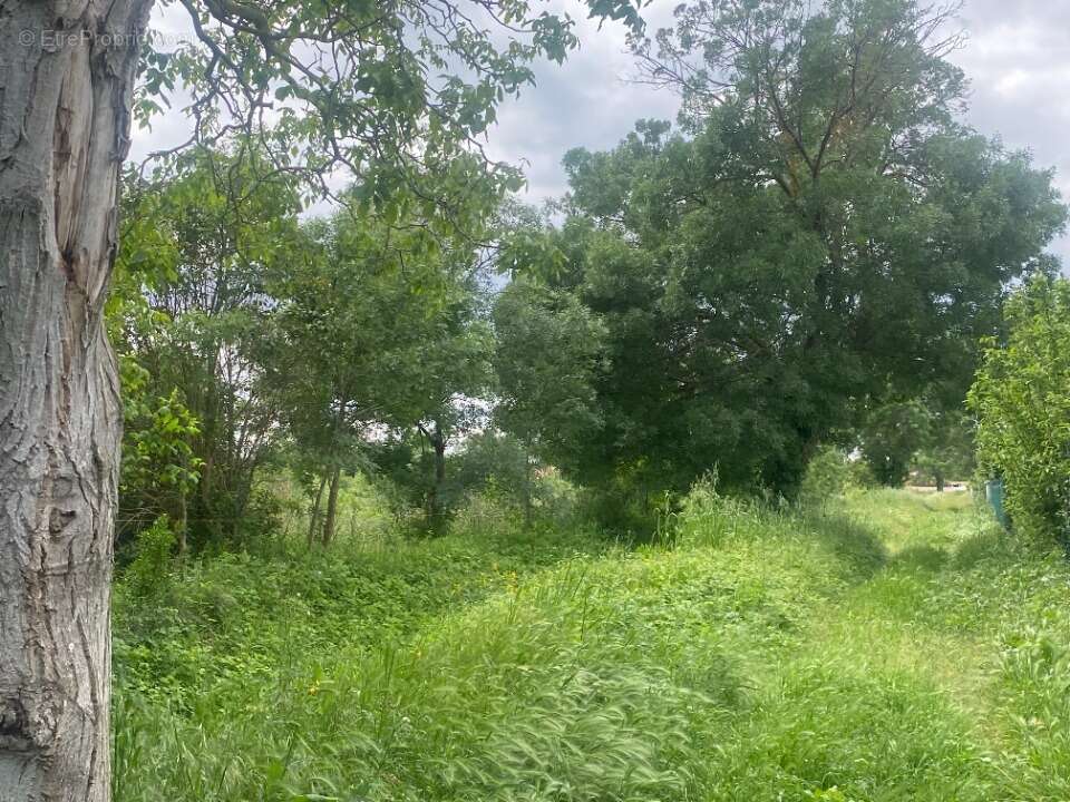 Terrain 242 m² à Coursan  - photo 2